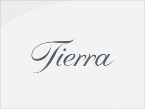 原宿・表参道にある日本を代表するトレンド美容室・美容院「Tierra（ティエラ）」のニュース記事「例年8月はご予約が取りやすくなっております」
